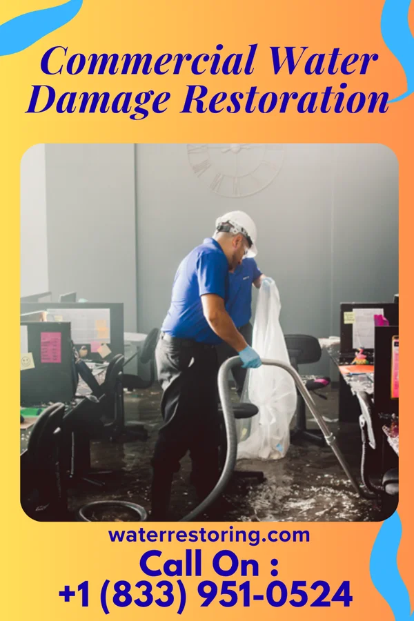 Commercial Water Damage Restoration in Prince's Lakes, IN