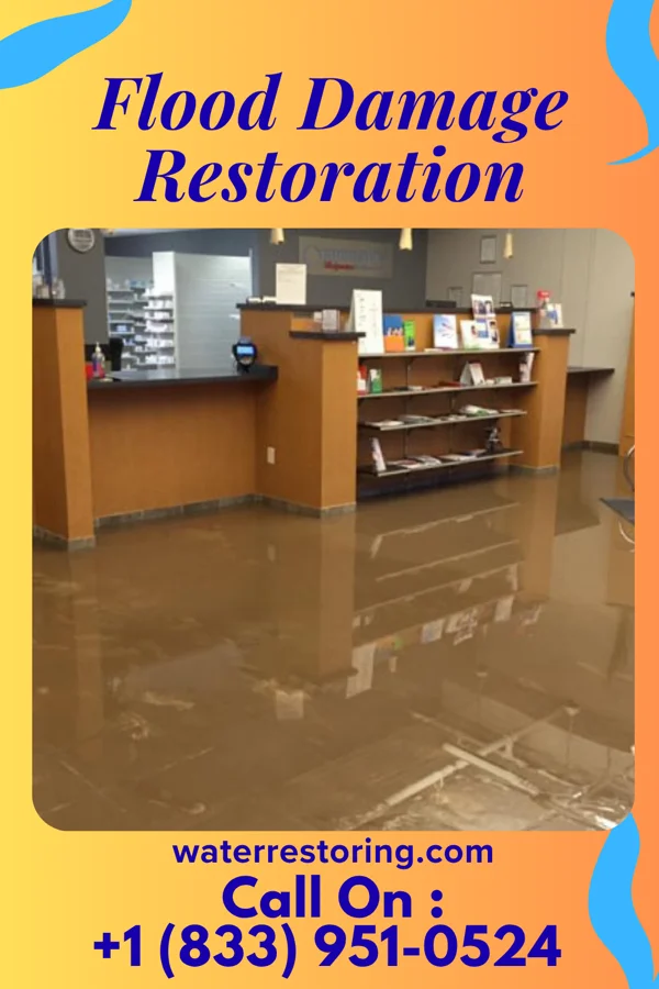 Flood Damage Restoration in Prince's Lakes, IN
